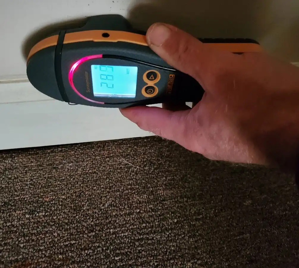 Moisture detection at baseboard during Mold Inspection & Testing in Cedartown